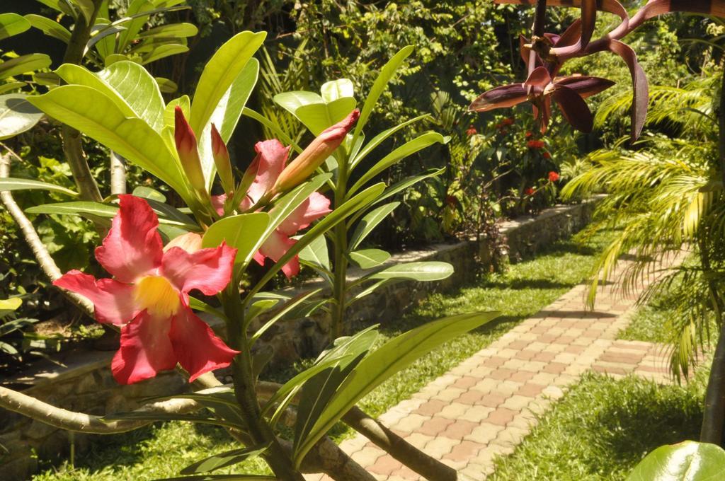 Green Villa Unawatuna Luaran gambar